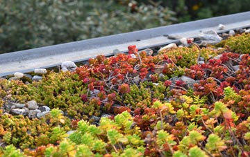 the cost of Crouch End green roof installation