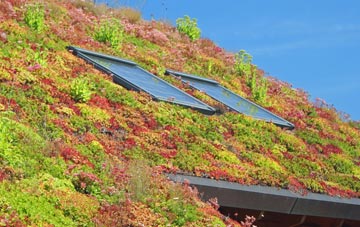 Crouch End living roof systems