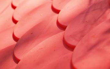 Crouch End plastic roof costs