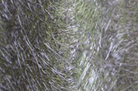 Crouch End fibreglass roof work